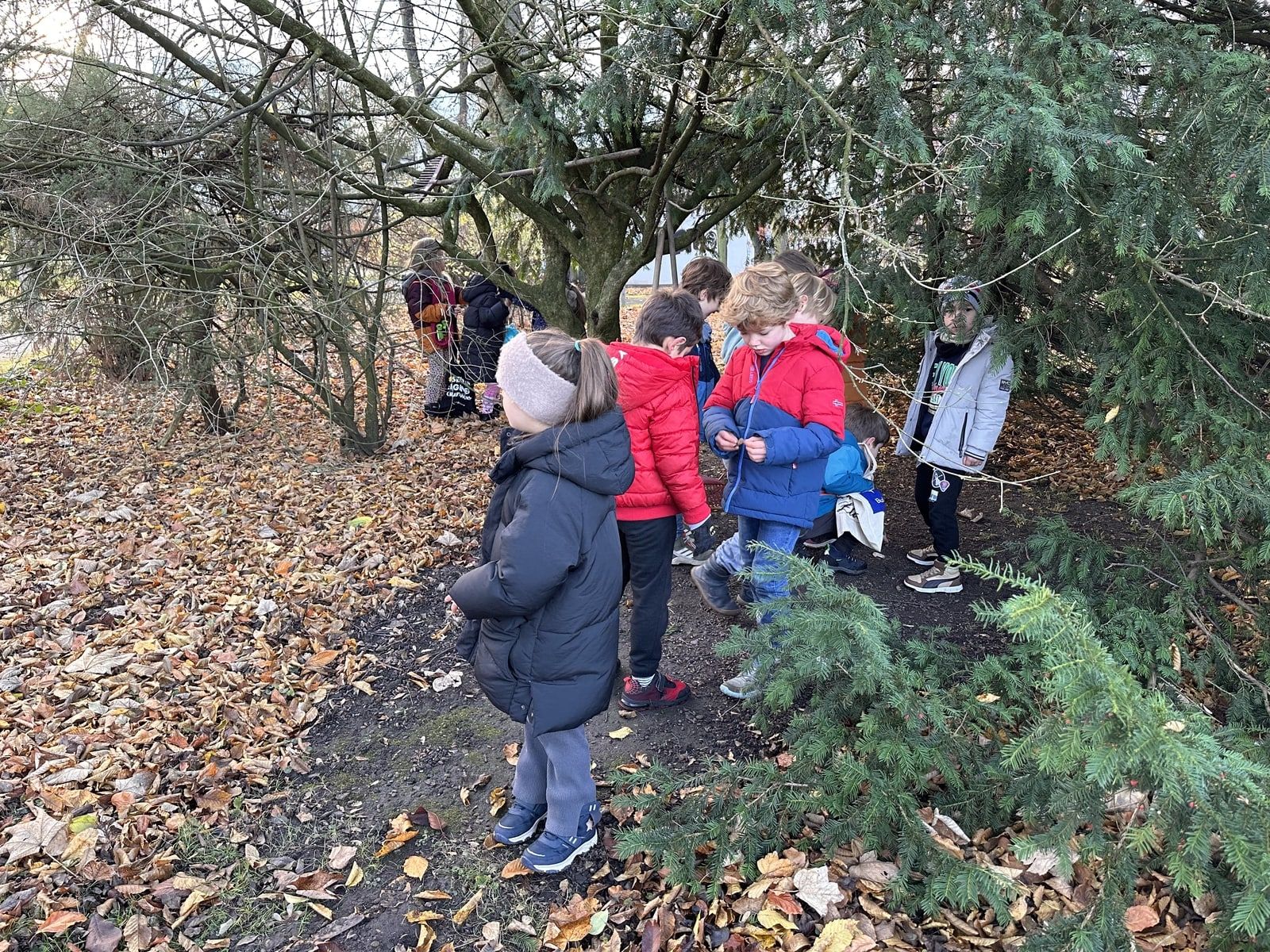 Schüler:innen stehen unter einem Nadelbaum