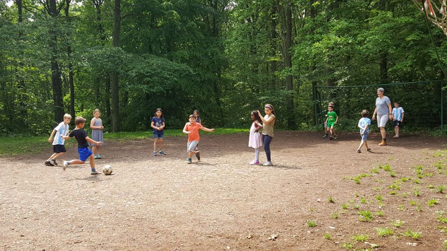 Pandas und Grizzlies auf Klassenfahrt - 3