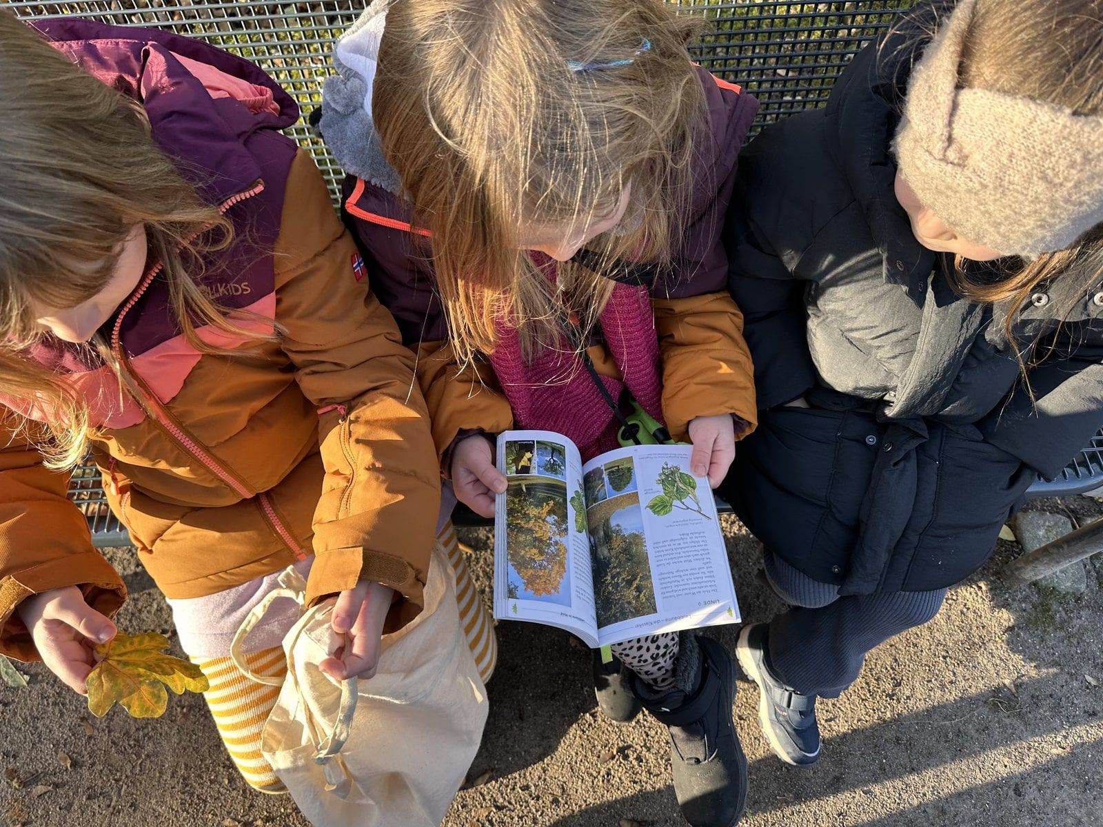 drei Kinder sitzen auf einer Bank und sehen sich ein Buch und ein Blatt an