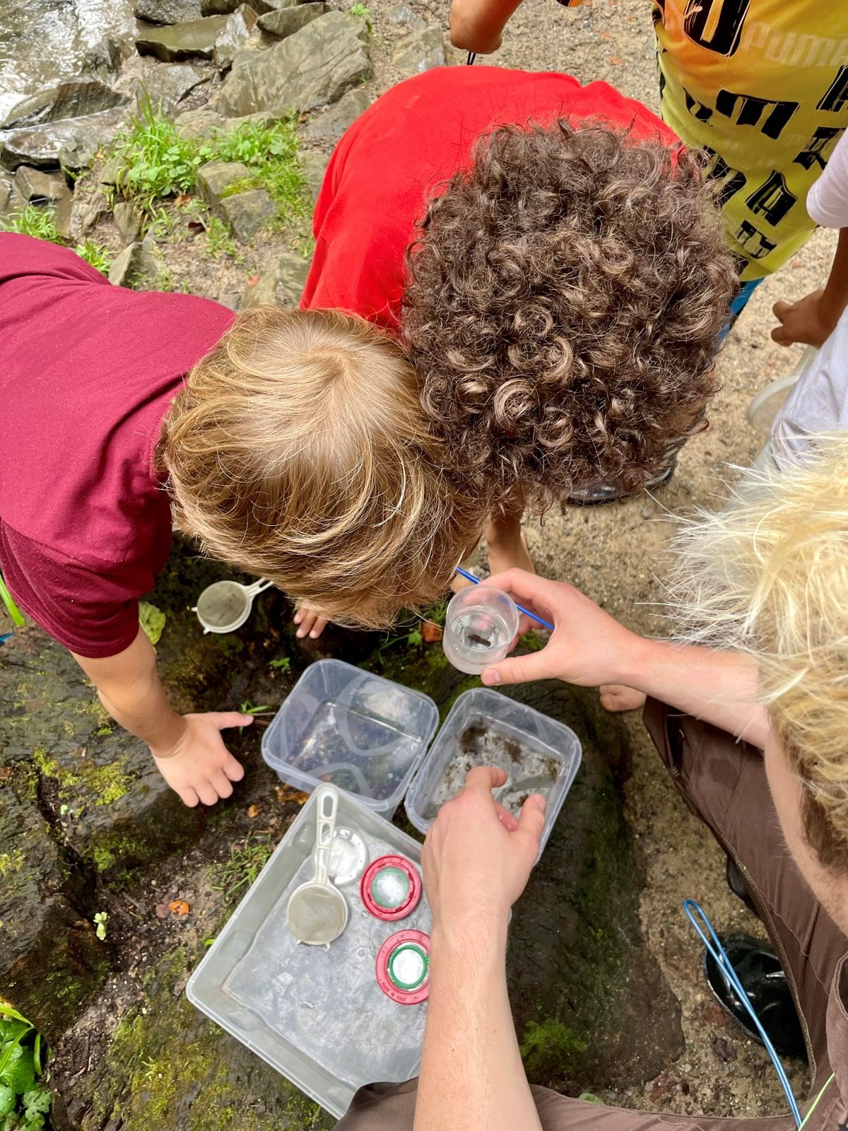 Kinder prüfen Wasserproben auf Kleintiere