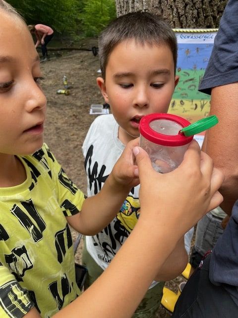 Kinder prüfen Wasserproben auf Kleintiere