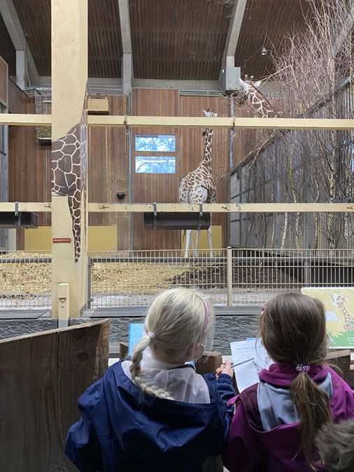 Die kleinen Robben werden zu großen Forschern - 4