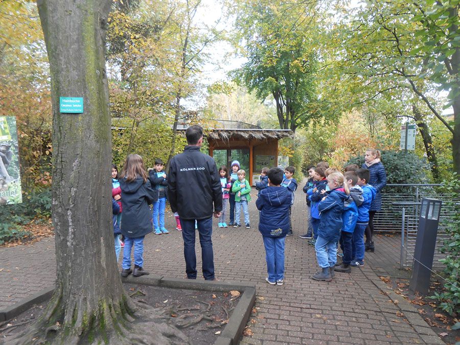 Zooprojekttag in der Zooschule - 2