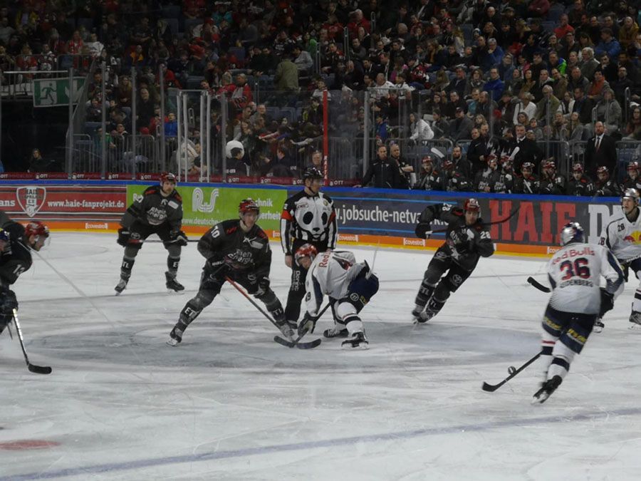 Bei den Haien in der Lanxess-Arena! - 3