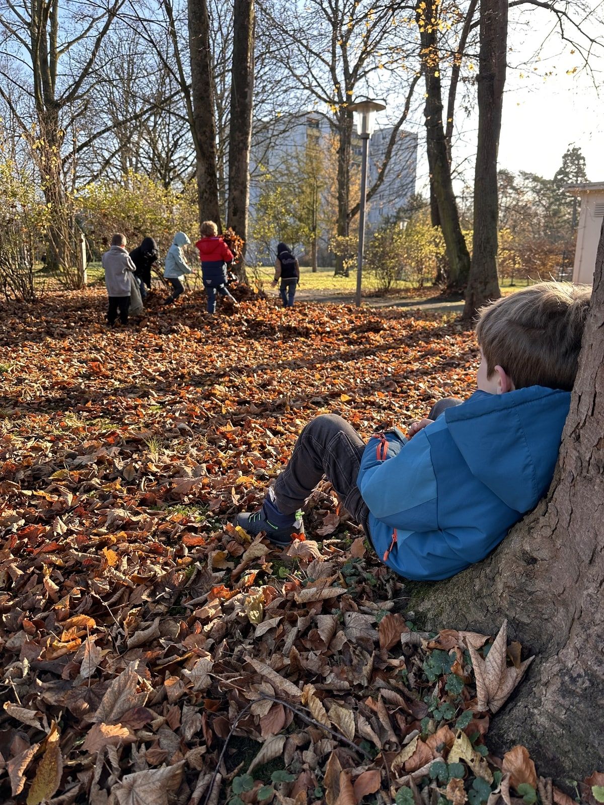 Kind sitzt an einem Baum und sieht anderen Laub sammelnden Kindern zu