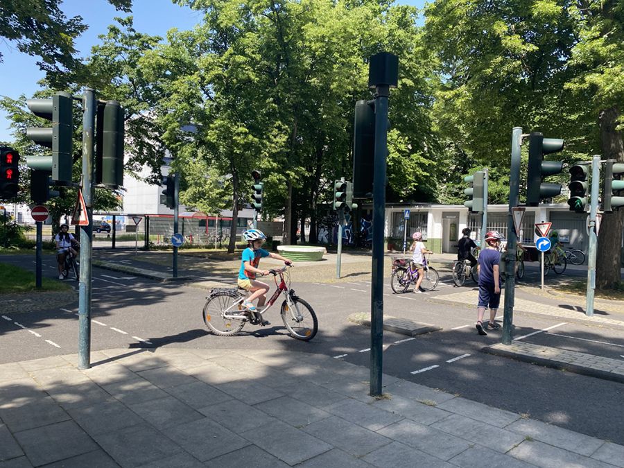 Radfahrtraining bei den Zebras und Erdmännchen - 4