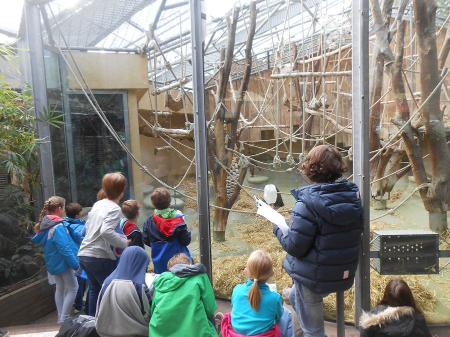 Zooprojekttag in der Zooschule - 4