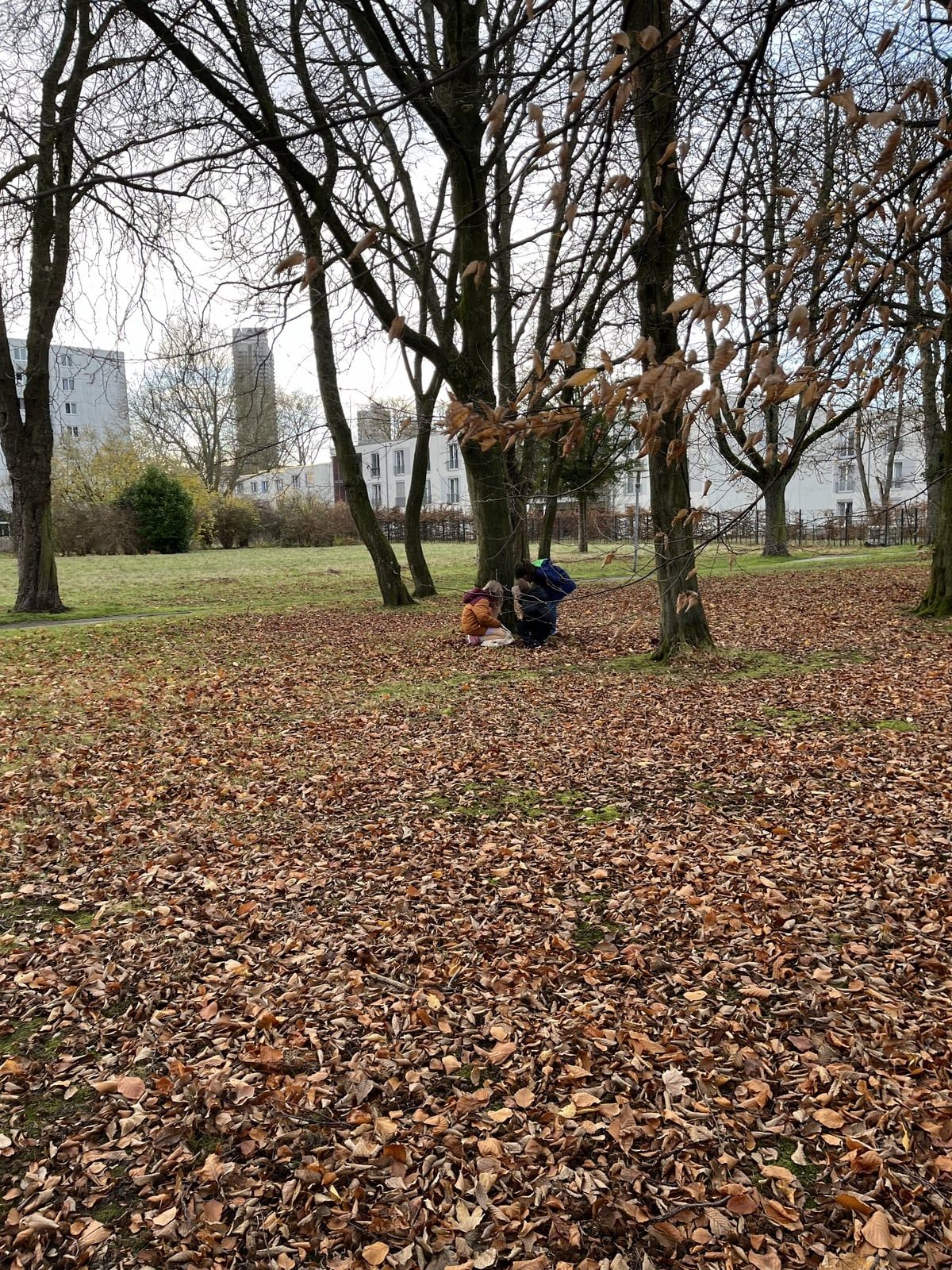 drei Kinder an einem Baum in einem Park mit Herbstlaub