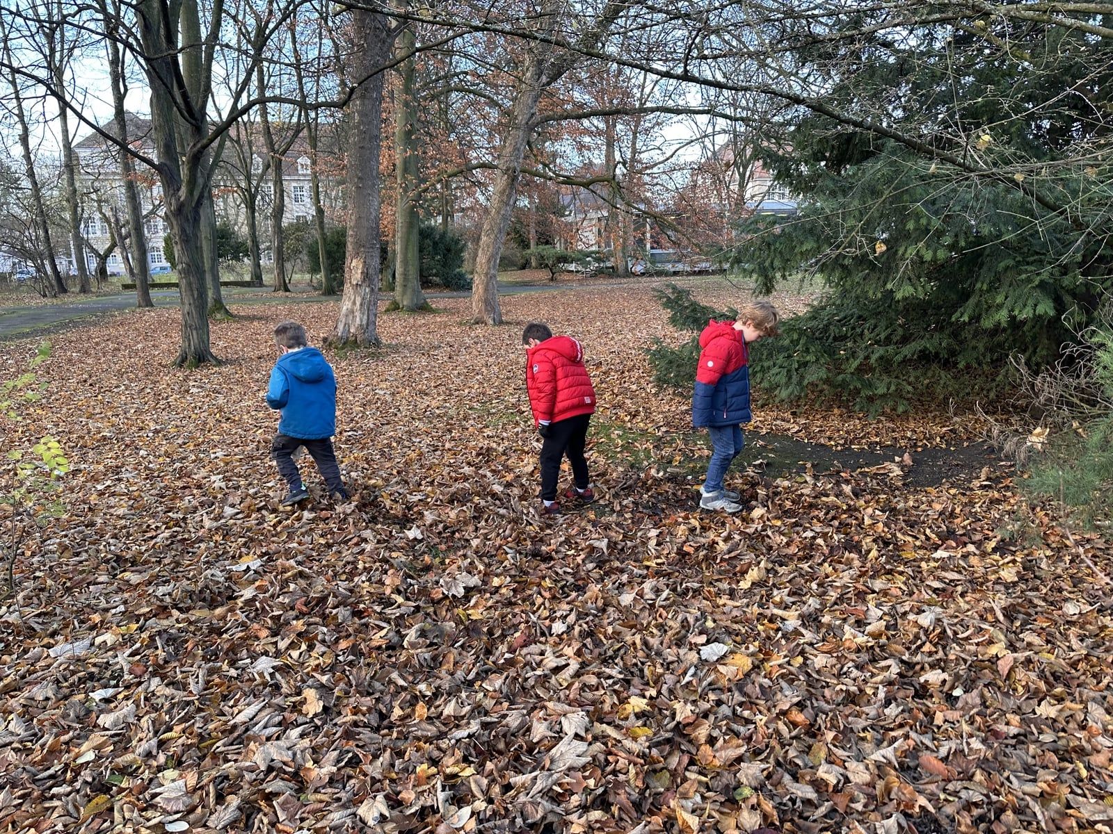 drei Kinder stehen im Herbstlaub