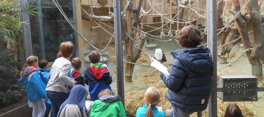 Zooprojekttag in der Zooschule