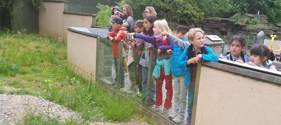 Eindrücke aus der Zooschule